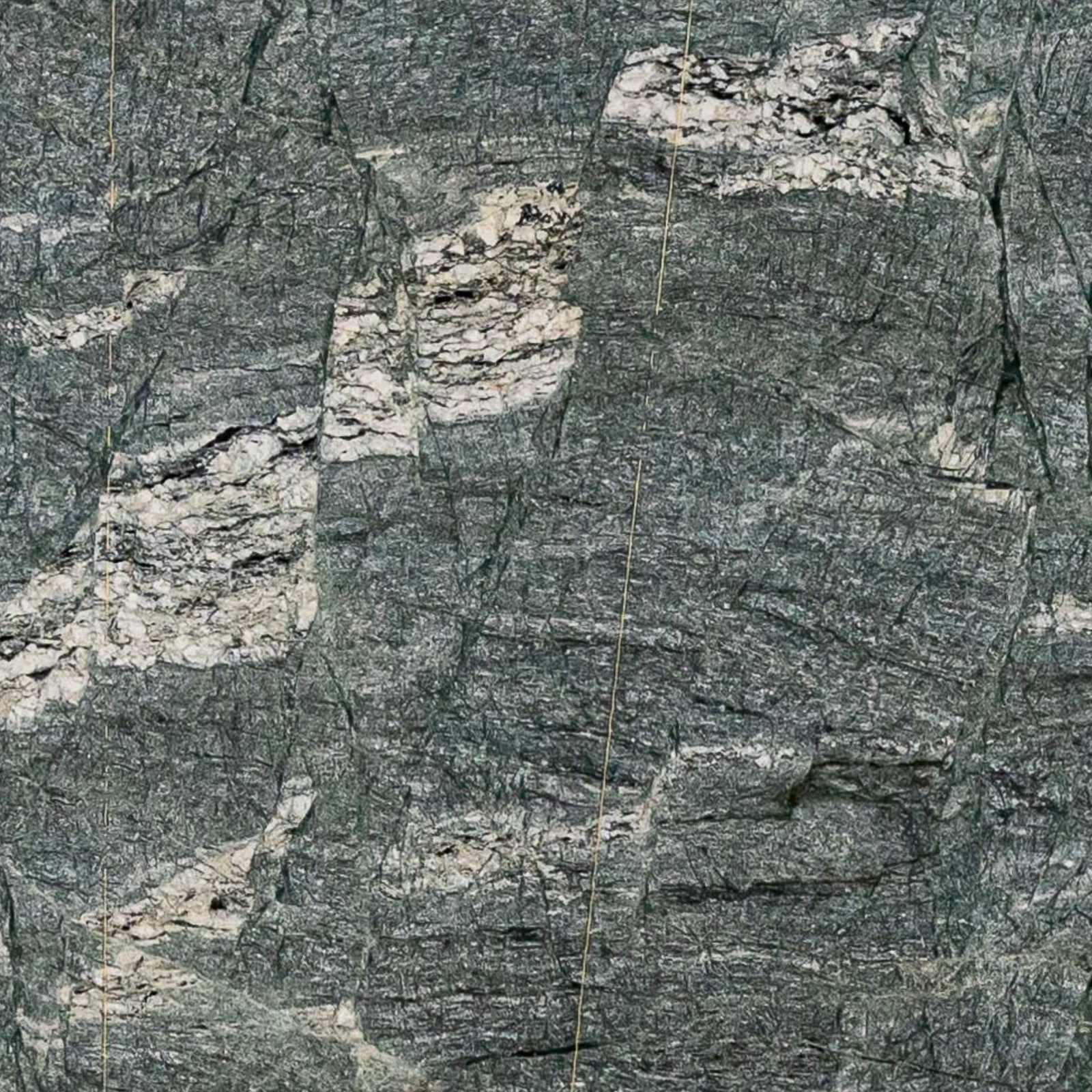 varição 01. canva